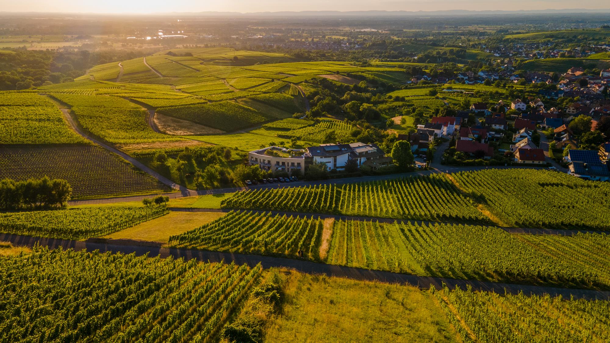 Home Hotel Rebenhof